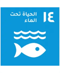 Life below water