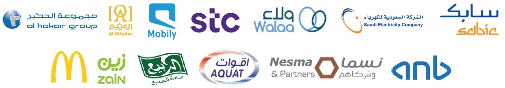 الجهات المشاركة في البرنامج